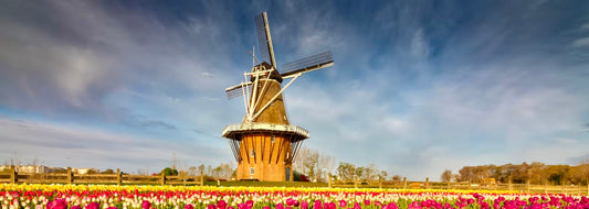 Michigan in Bloom: Your Guide to Springtime Adventures